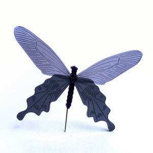 butterfly / brooch