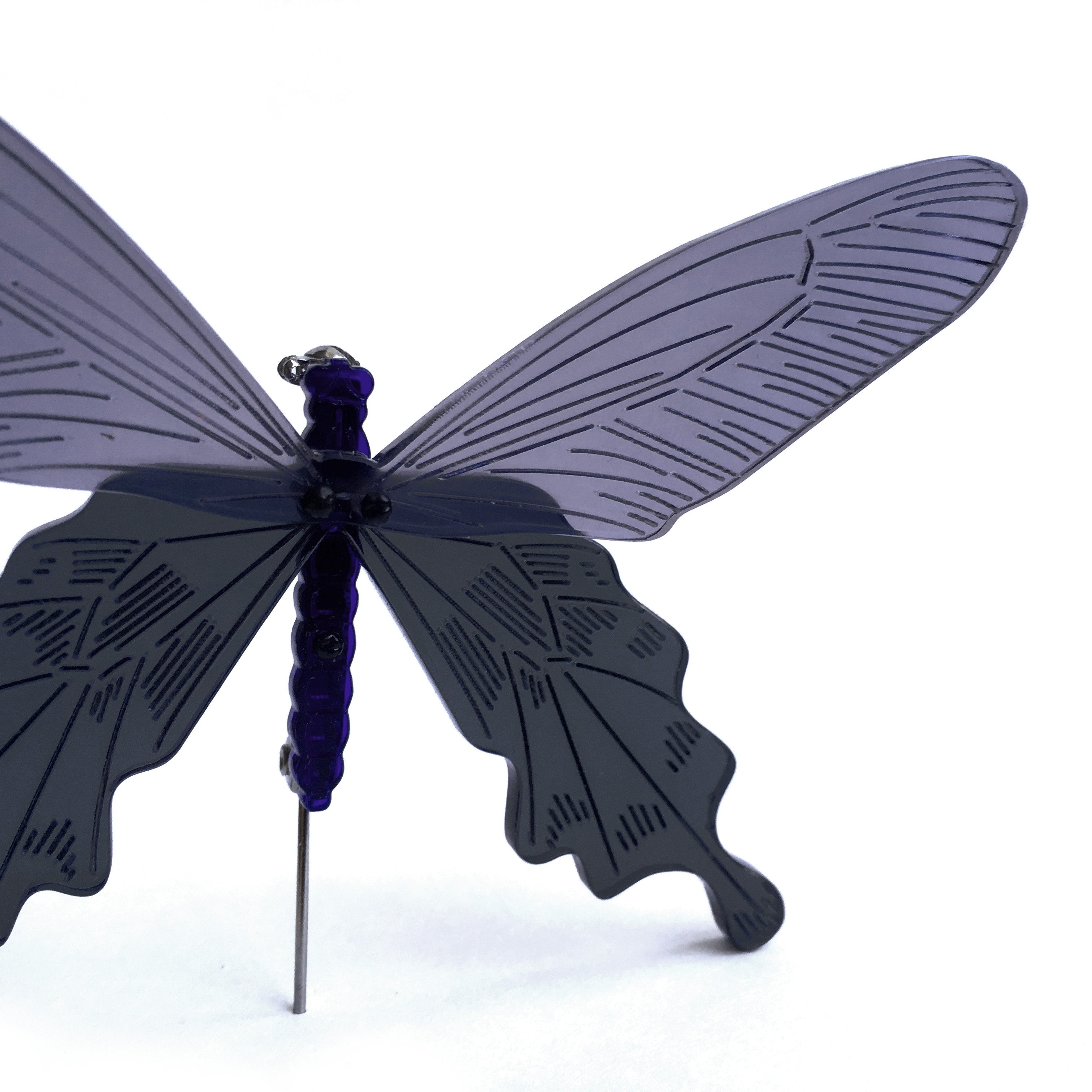 butterfly / brooch