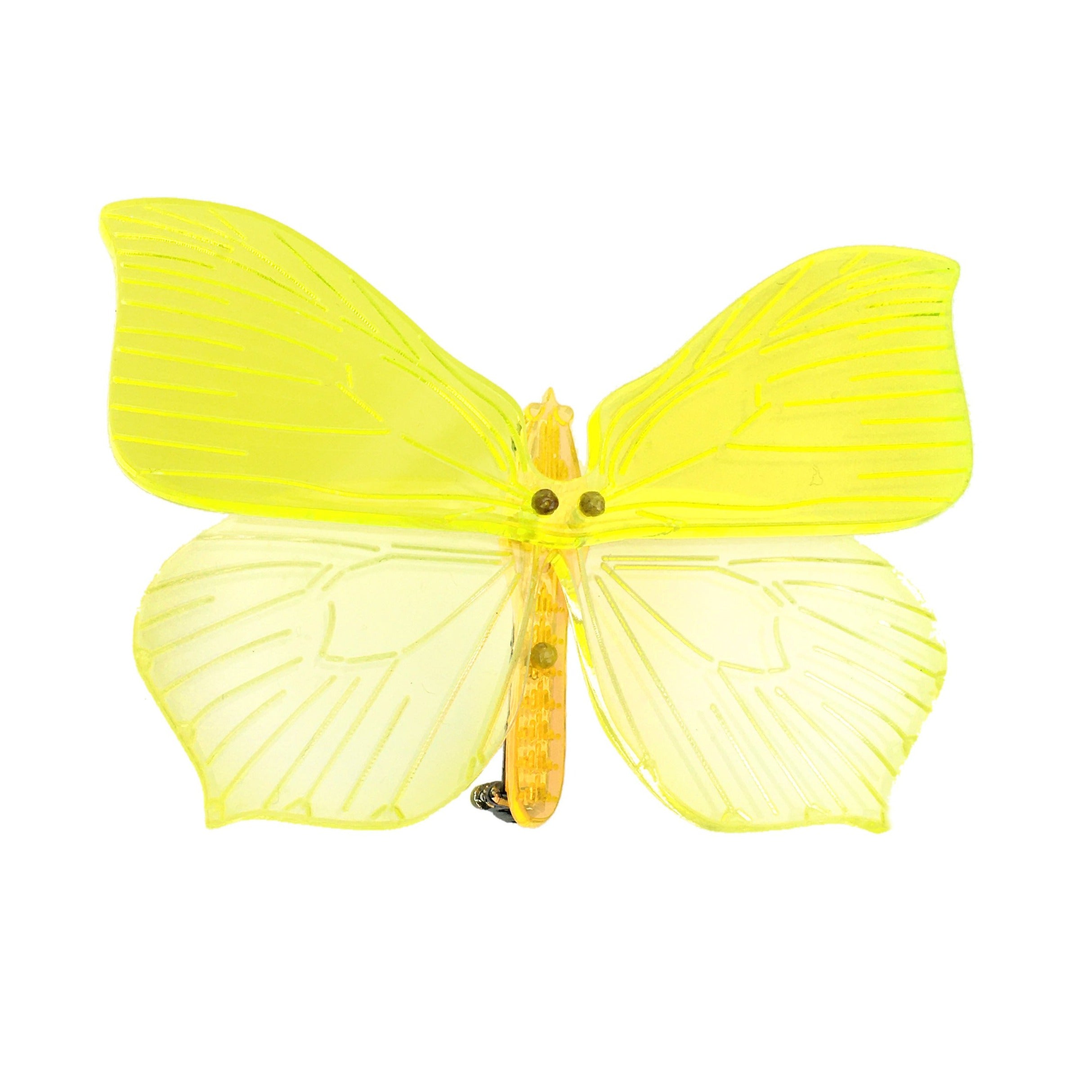 butterfly / brooch