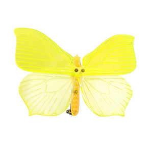 butterfly / brooch