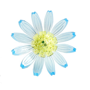 Daisy flower blue